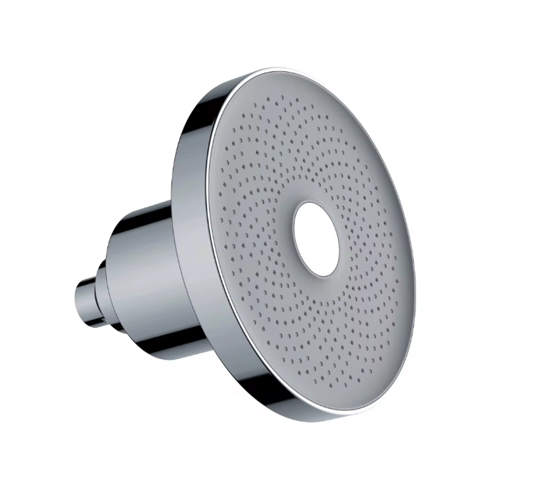 filtered shower head